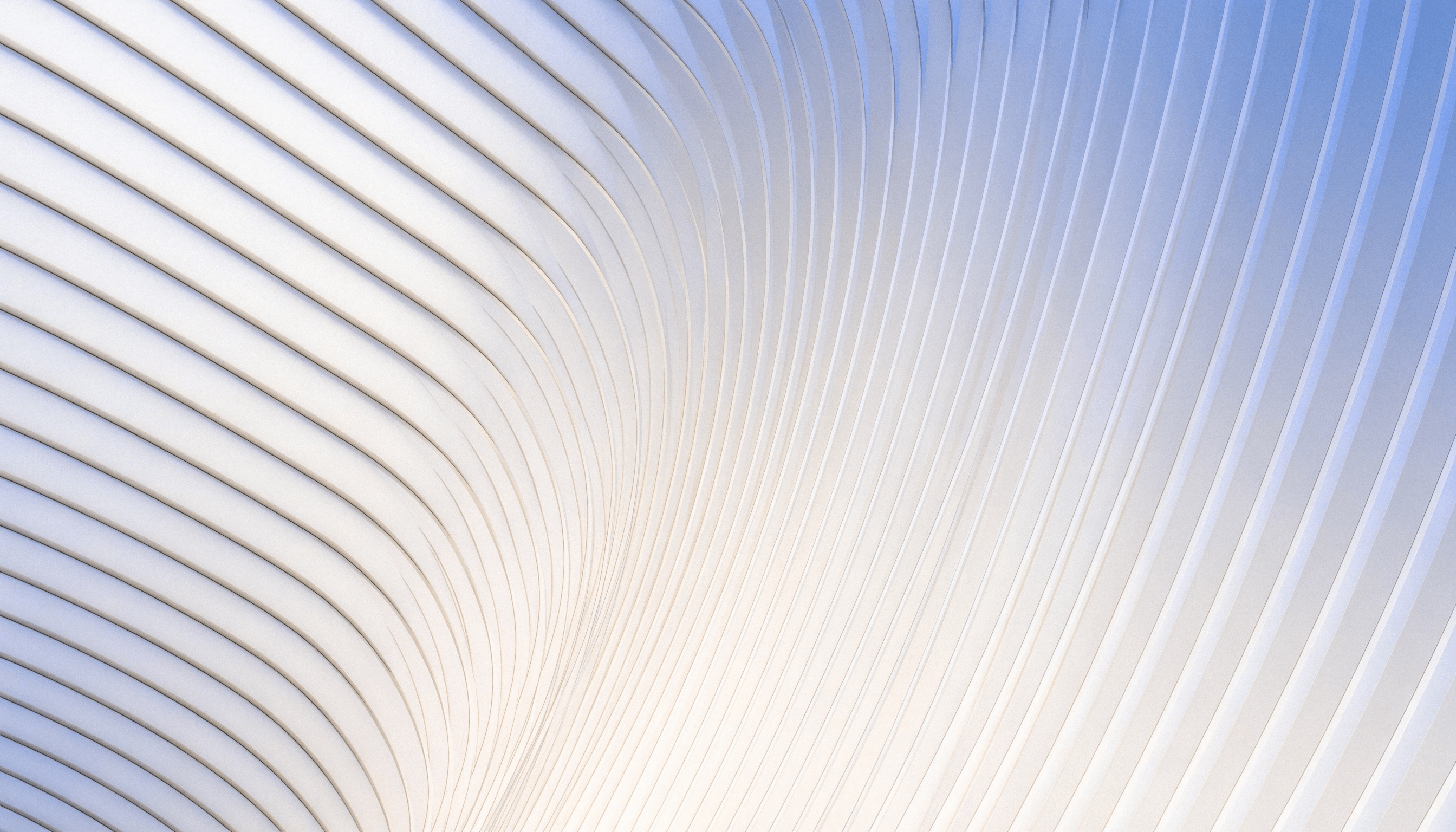 Curved white architectural ribs with soft blue and warm lighting